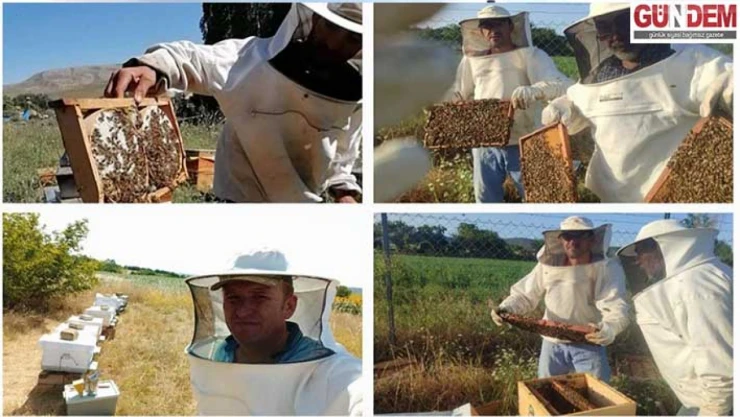 Keşan'da organik arıcılık eğitimi başladı