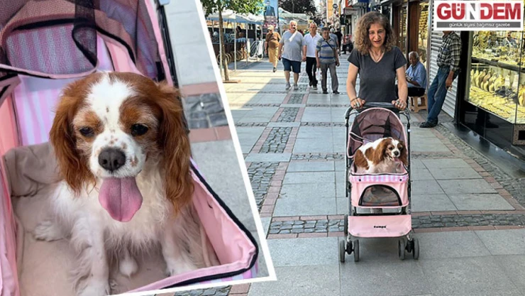 Köpeğine Bebek Gibi Bakan Nurcan Barın'ın Sevgi Dolu Çözümü
