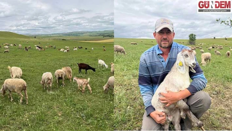 'Mera hayvancılık üretimi için çok önemli'