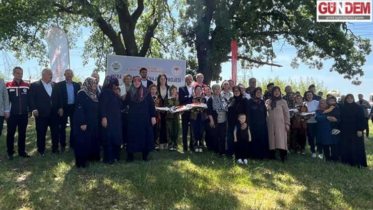 Meralar ıslah ediliyor