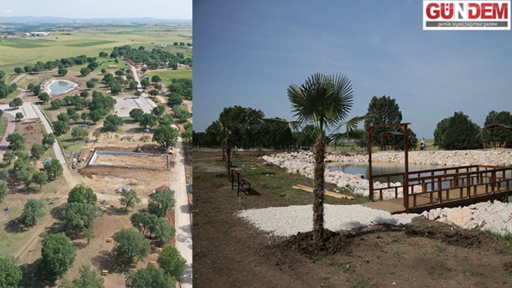 Musabeyli Korusu Edirne'nin yeni cazibe merkezi olacak