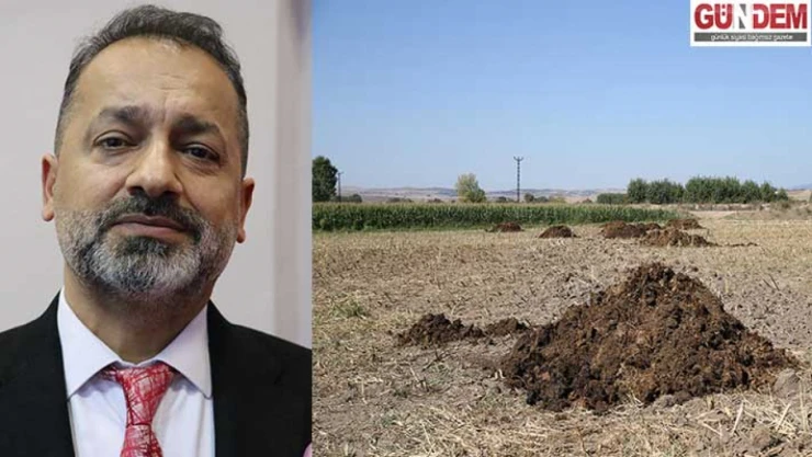 Organik gübreler toprağın su tutma kapasitesini artırıyor