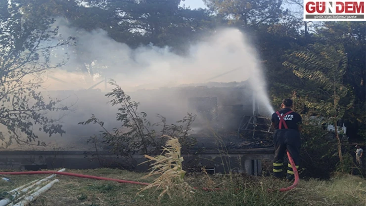 Orman yangını kontrol altına alındı