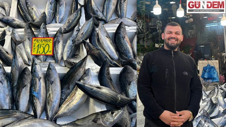 Palamut bolluğu yaşanıyor