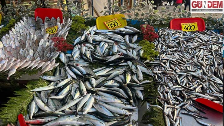 Sıcak hava balık bolluğunu azalttı