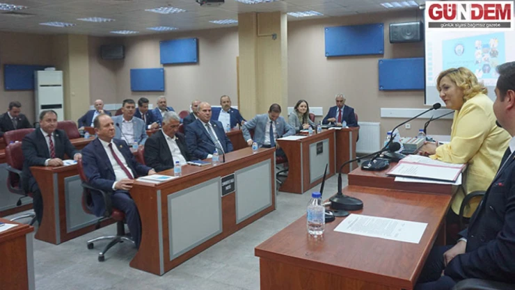 Sivrisinek ve haşere ile mücadeleye başlandı