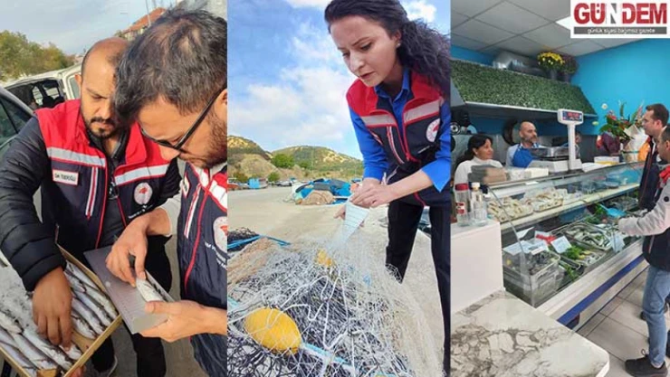 Su ürünleri denetimleri aralıksız devam ediyor