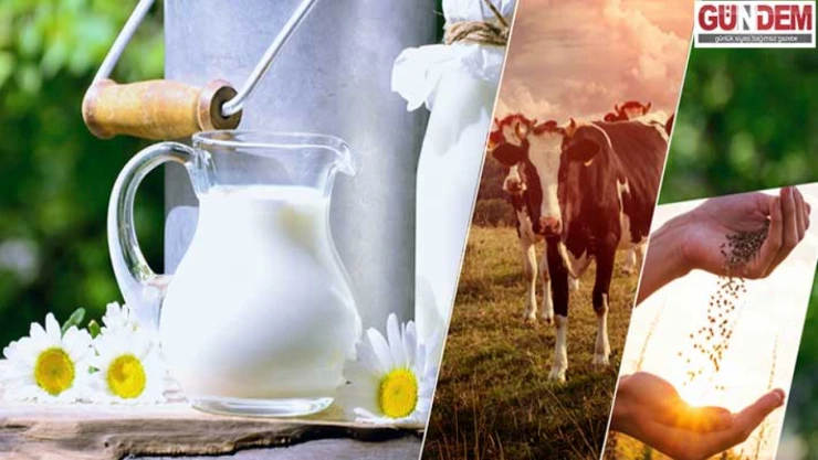 Süt Desteği kapsamında 2 milyar 174 milyon 231 bin 852 destek ödemesi