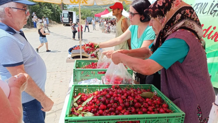 Tadıyla ünlü Enez Çeribaşı kirazının hasat sezonu başladı