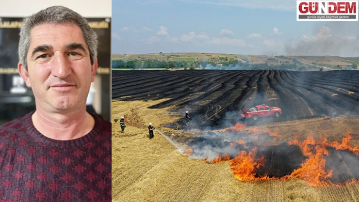 Tarla Yangınları Çiftçilerin Emeklerini Yok Ediyor