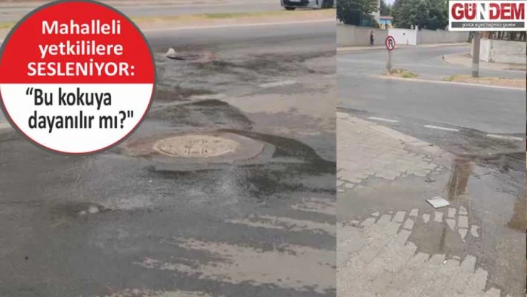 Taşan rögar mahalleliyi canından bezdirdi