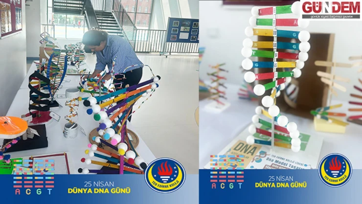 TED Edirne Koleji'nde 'DNA Modelleme Yarışması'
