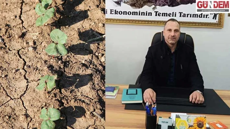 Toprak suya kavuştu, çiftçi umutlandı