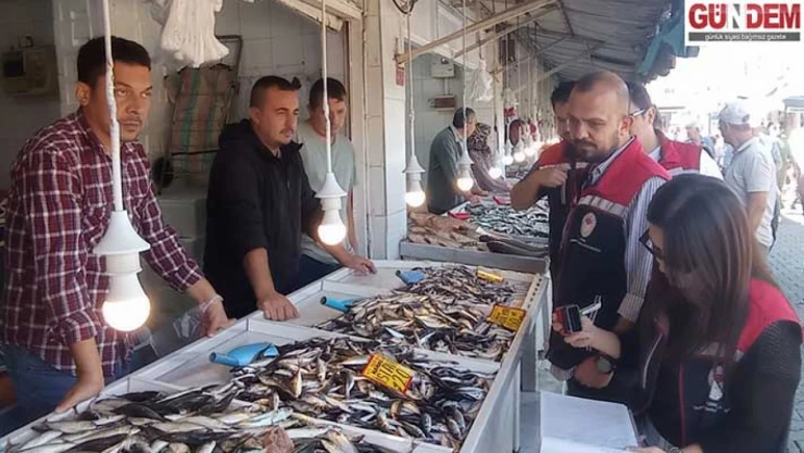 Uzunköprü'de su ürünleri işletmelerine sıkı denetim