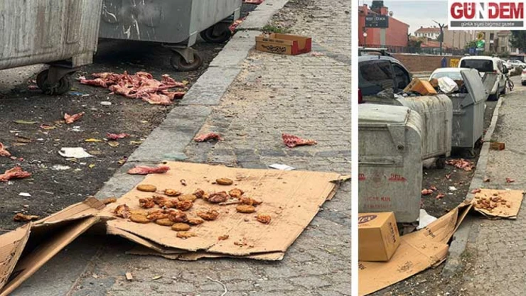 Vahşi besleme, çöp dağları ve bakımsız konteynerler: Çarşının kalbi leş gibi!