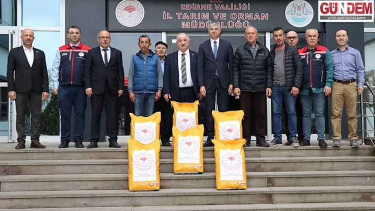 Yerli hibrit ayçiçeği tohumu dağıtımı sürüyor