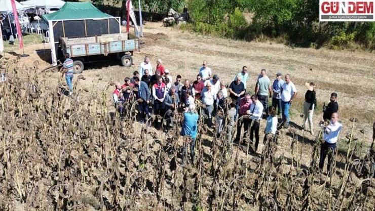 Yerli Ve Milli Hibrit Ayçiçeği'ne Sakarya'da Tarla Günü