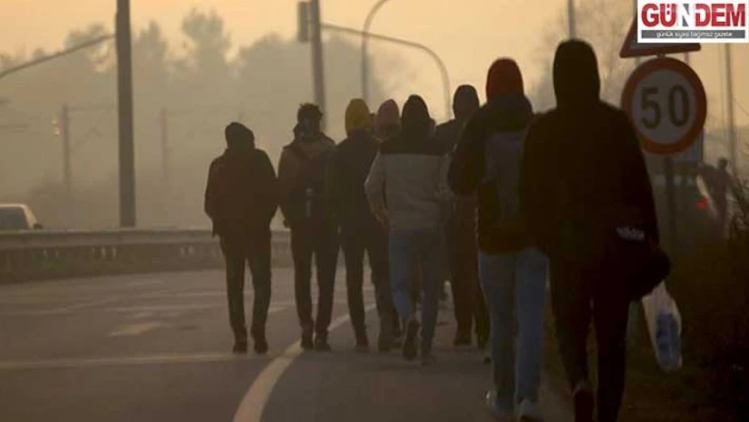 14 düzensiz göçmen yakalandı