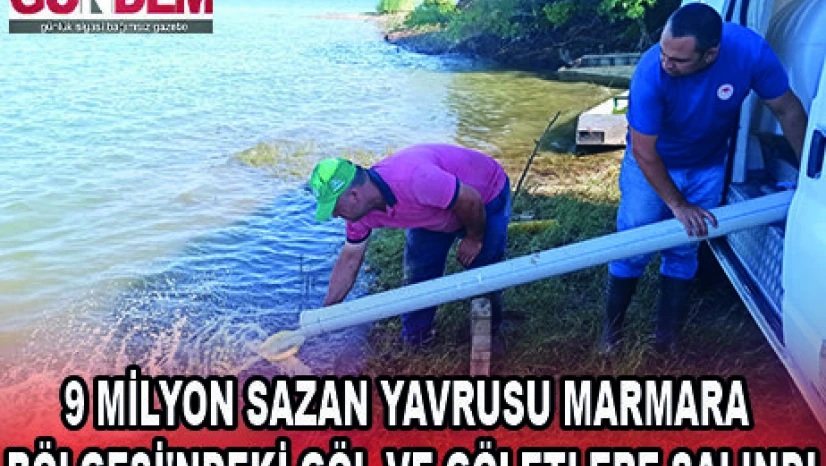 9 MİLYON SAZAN YAVRUSU MARMARA BÖLGESİ'NDEKİ GÖL VE GÖLETLERE SALINDI
