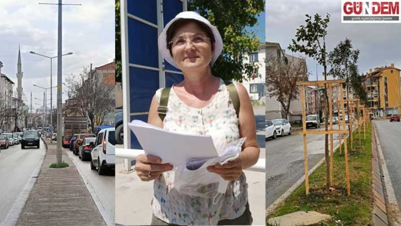 Kocasinan'daki ağaçlandırma gerçeği yansıtmıyor