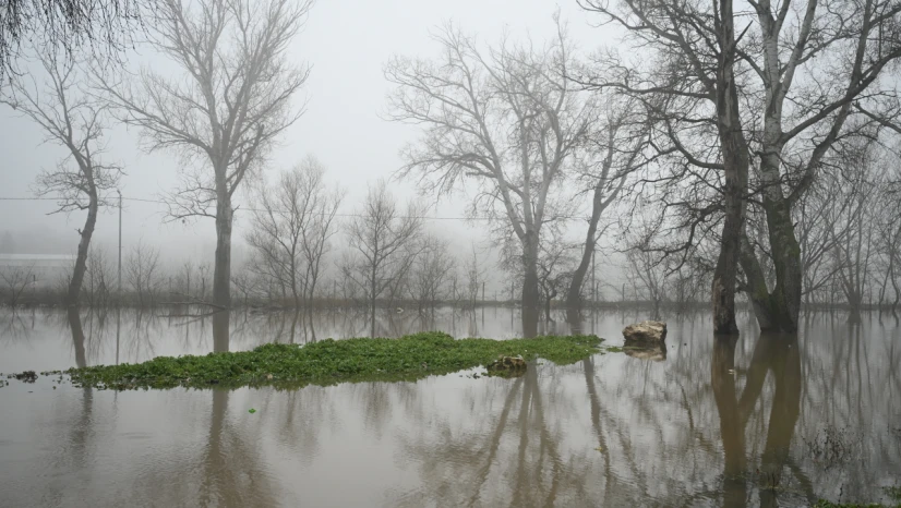 Meriç Nehri'nde risk azalıyor