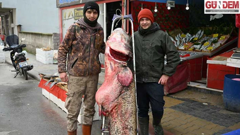 Meriç'te 102 kilogramlık yayın balığı yakalandı