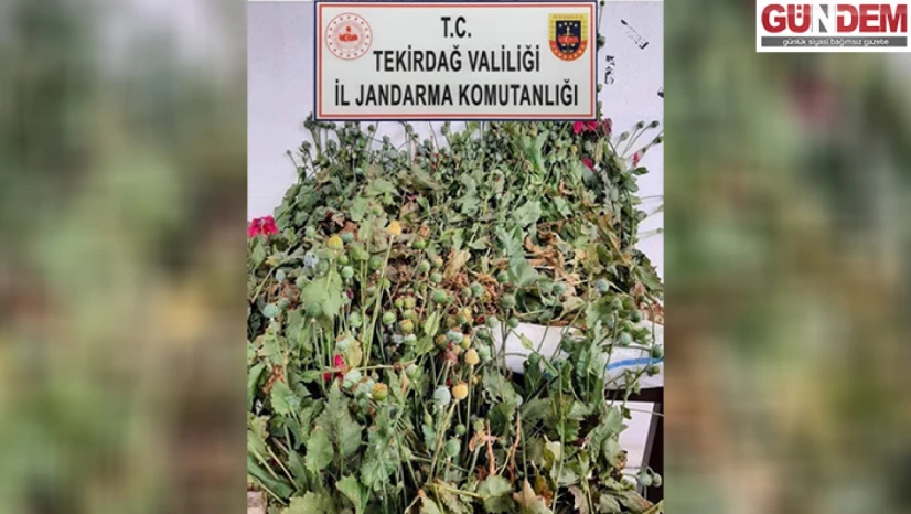 Saksıda haşhaş bitkisi yetiştiren 2 kişi yakayı ele verdi