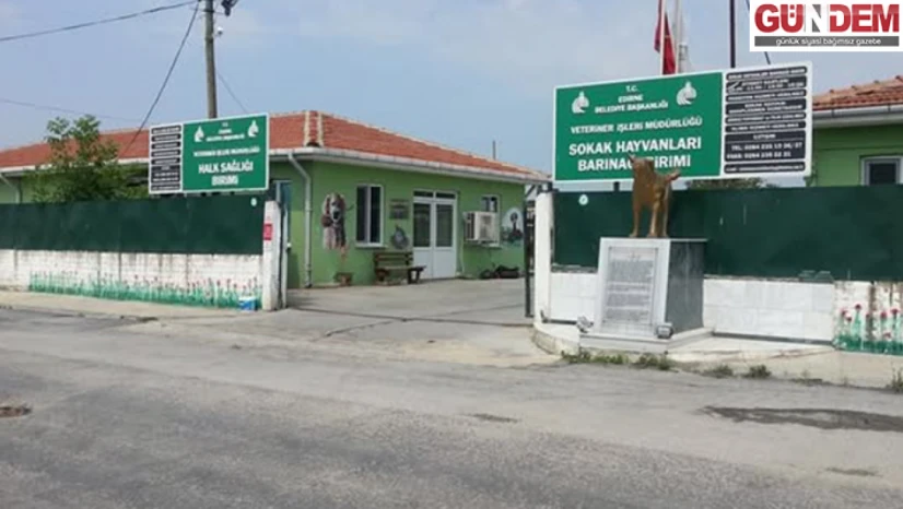 Sokak Köpeğini Sürükleyen Belediye Personeli Gözaltında