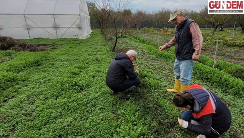Uzman ekipler üretim sahalarında takibi sıklaştırdı