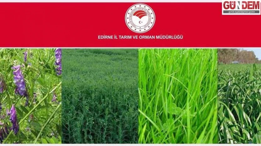 2025 yem bitkileri destek listeleri incelemeye açıldı