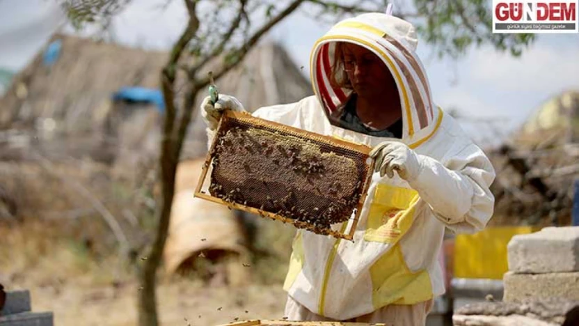 Arı yetiştiricilerine bilgi desteği