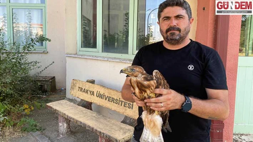 Aşırı sıcaklarda bitkin düşen yaban hayvanları tedavi sonrası doğaya bırakılıyor