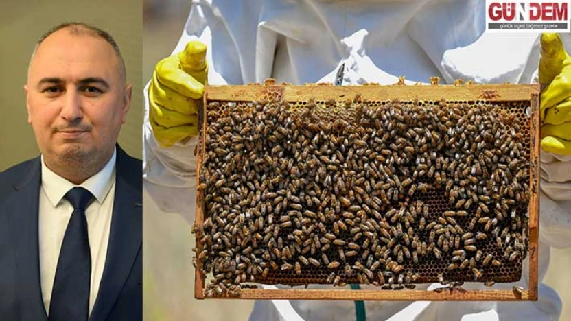 Coğrafi işaret balların niteliğini ve katma değerini arttırıyor