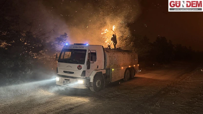 EDİRNE ENEZ'DEKİ ORMAN YANGININA MÜDAHALE SÜRÜYOR
