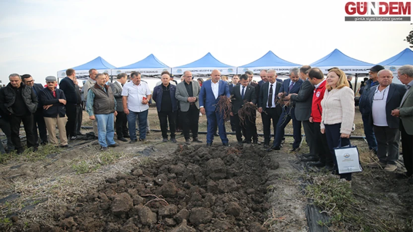 Edirne kırmızısı yeniden hayat buldu