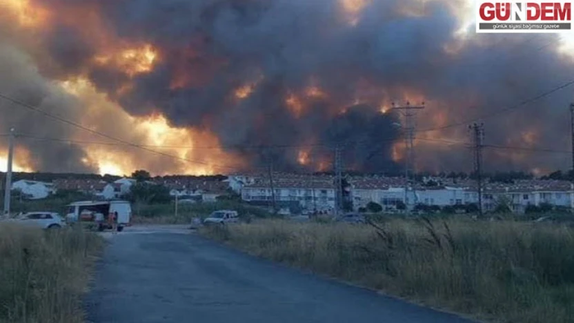 Edirne'nin Enez ilçesindeki orman yangınına müdahale sürüyor