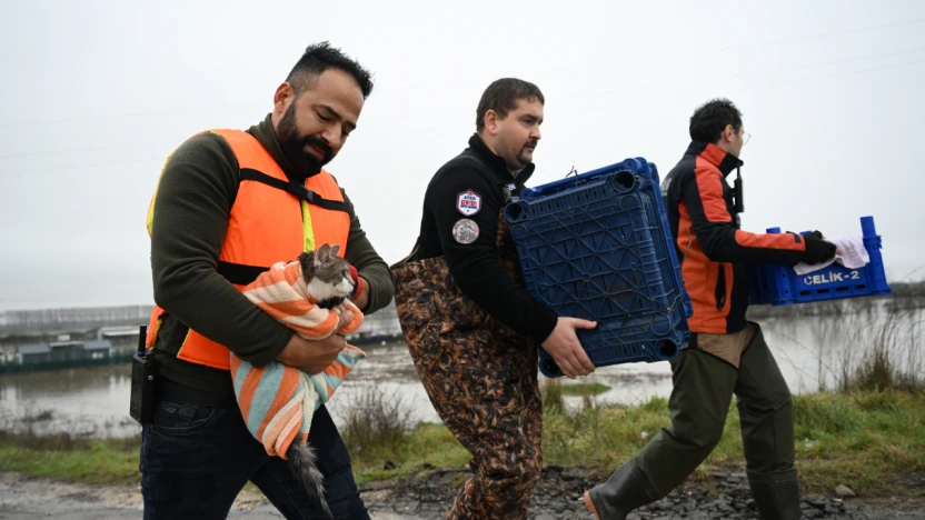 Ekipler, hayvanları sel suyundan kurtardı