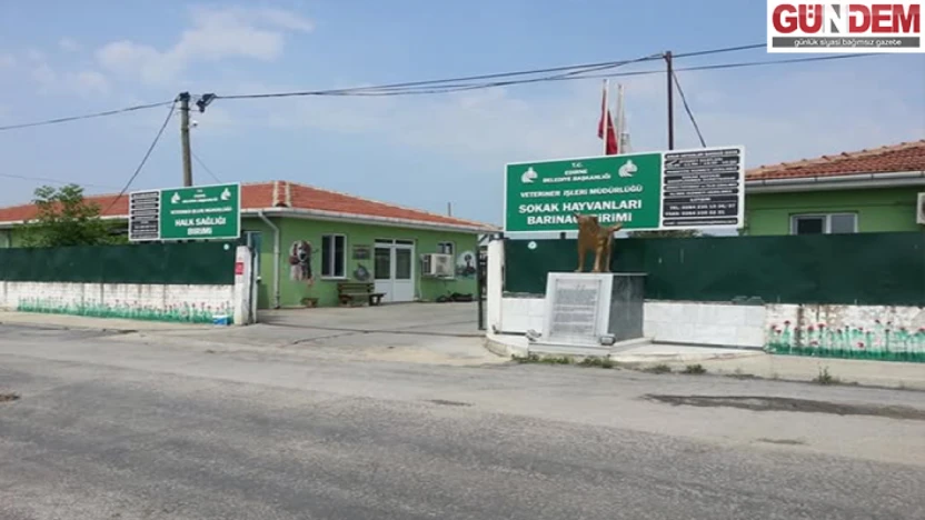 Gözaltına alınan belediye personeli serbest bırakıldı