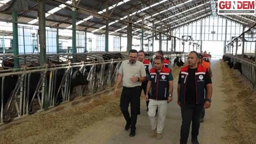 Hayvan sağlığı için yoğun mesai