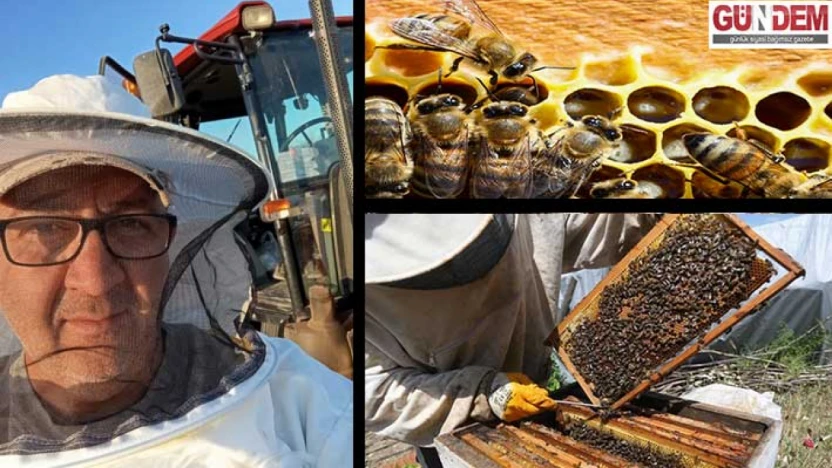 İklim krizi arıların geleceğini tehdit ediyor