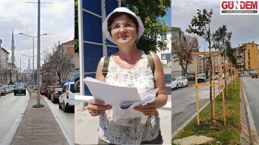 Kocasinan'daki ağaçlandırma gerçeği yansıtmıyor