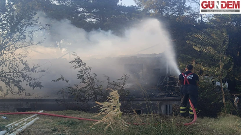 Orman yangını kontrol altına alındı