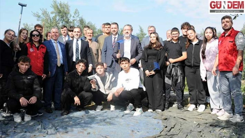 Şarköy'de zeytin hasadı protokol ve vatandaşları buluşturdu