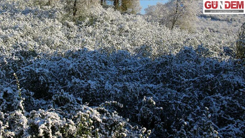 Soğuk hava dalgası Edirne'yi etkisi altına alacak