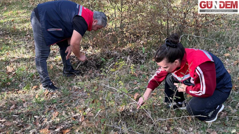 Süne ile mücadele çalışmaları sürüyor