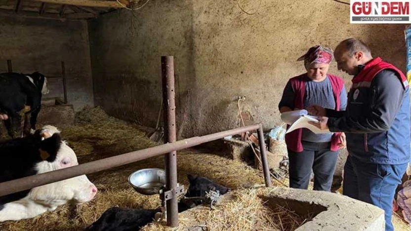 Tarım Müdürlüğü'nden hayvancılıkta sıkı takip
