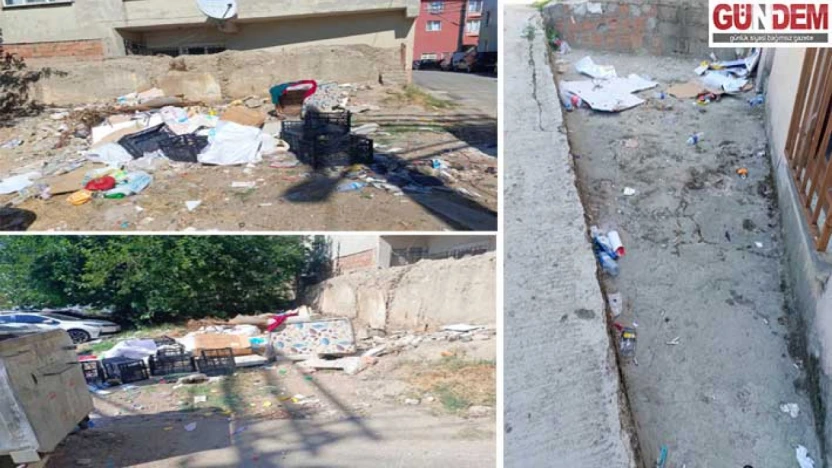 Toplanmayan çöpler sağlığı tehdit ediyor