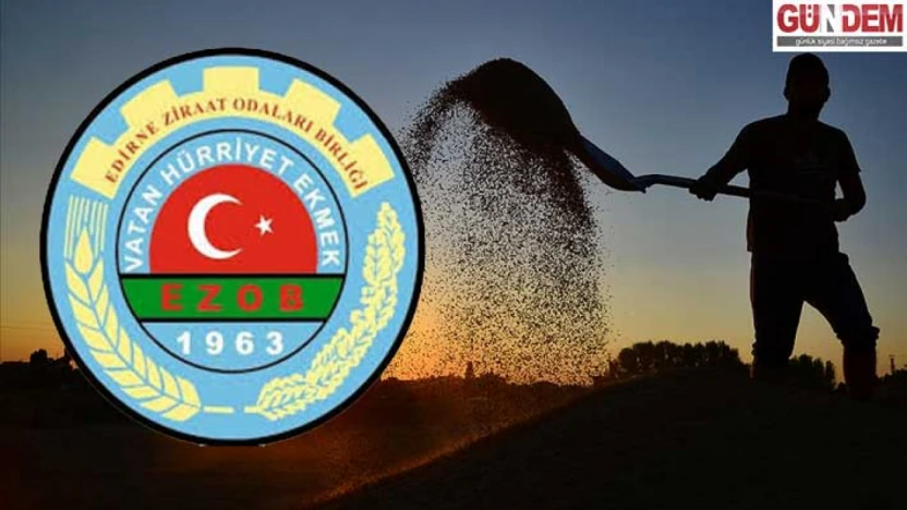 Üreticilerin mağduriyetlerinin giderilmesi için girişimler başlatıldı