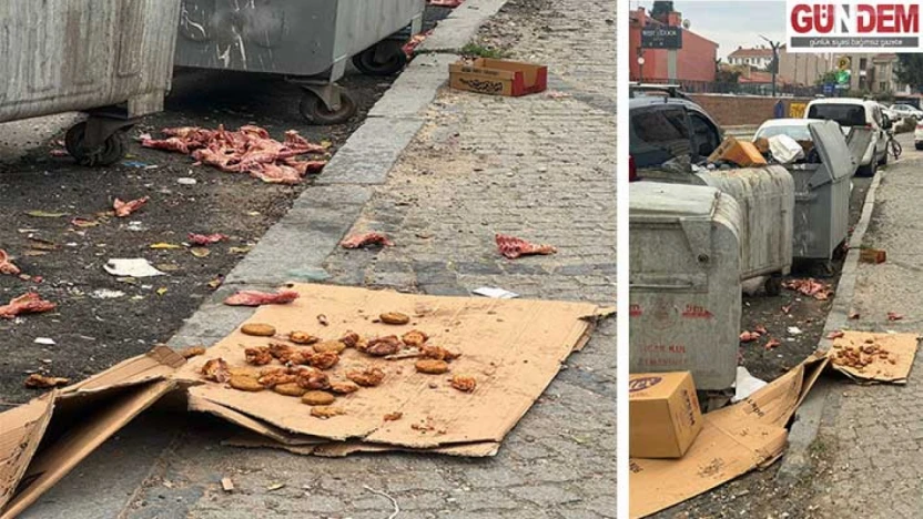 Vahşi besleme, çöp dağları ve bakımsız konteynerler: Çarşının kalbi leş gibi!