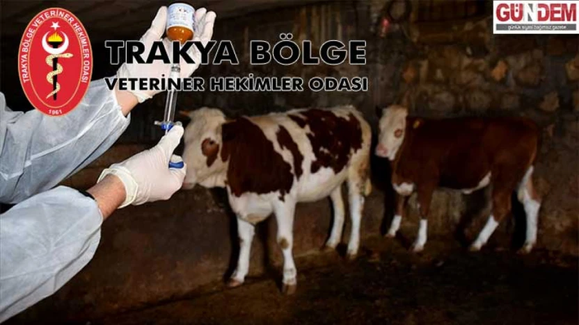 Veterinerlerden 'Arî Bölge' İçin Sıkı Önlem Çağrısı